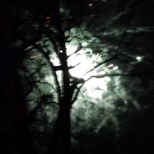 Die Macht des Unbewussten bewusst nutzen mit der FilmWechsel Methode